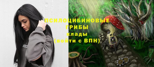 МДМА Белокуриха