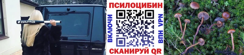 Псилоцибиновые грибы прущие грибы  Купить закладки  Ворсма 